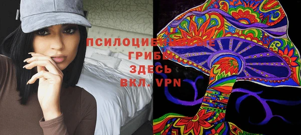 твердый Белоозёрский