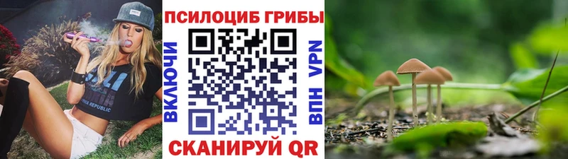 Псилоцибиновые грибы мухоморы  Верея 
